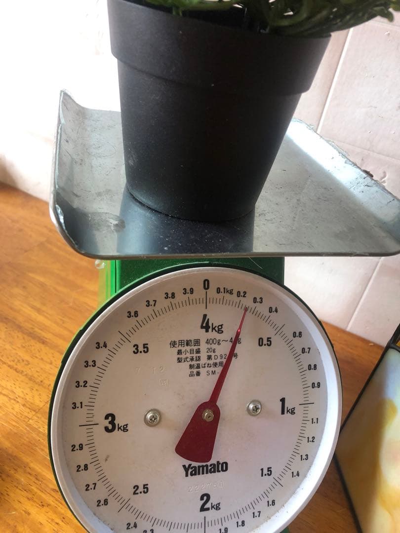 H ステンドグラス　ドーム型　鳥籠風　バードケース　アンティーク調　ガラスケース