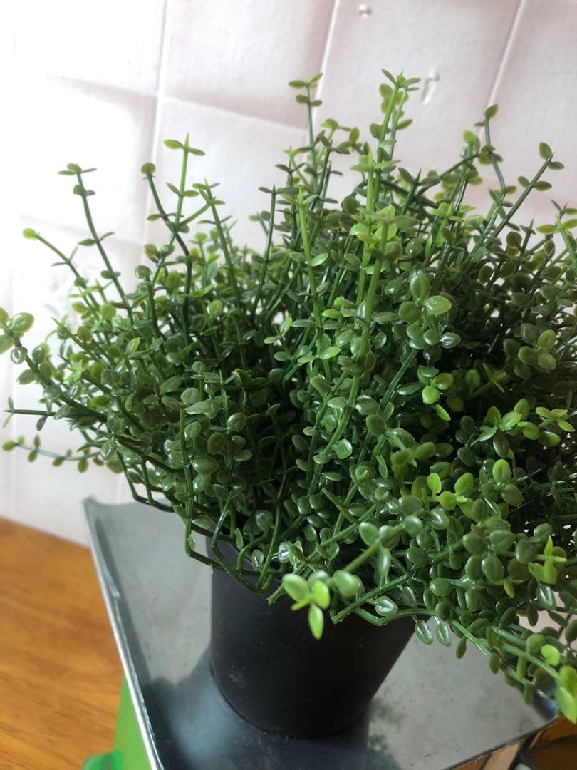 H ステンドグラス　ドーム型　鳥籠風　バードケース　アンティーク調　ガラスケース