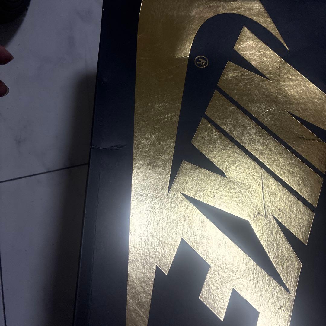 Nike Air Jordan 1 Retro High OG パロミノ