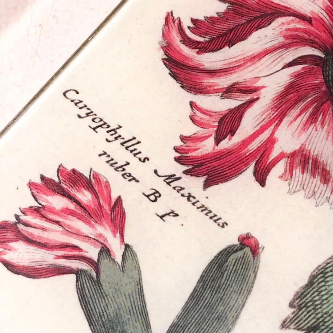 ラージサイズ　JOHN DERIAN ジョンデリアン デコパージュプレート