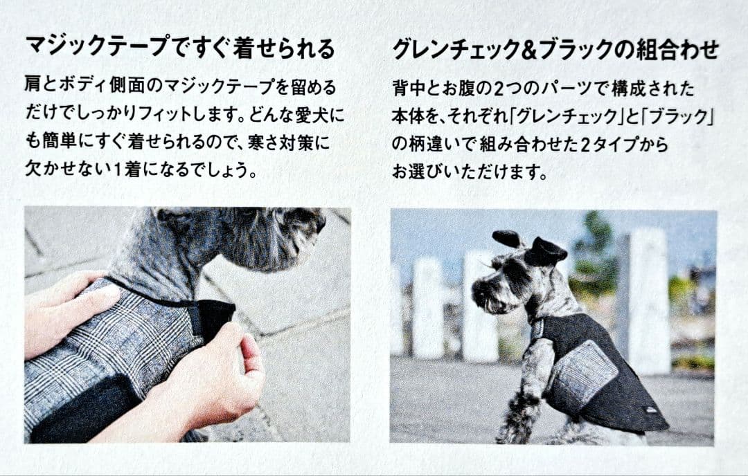 アルファアイコン　エアライナー　LL