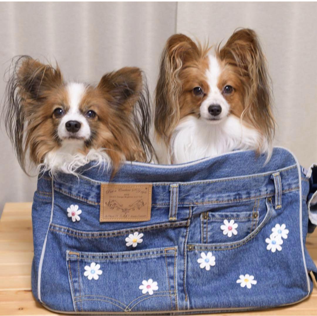 ルシアンエサヨ 【リデュームワ 】Lサイズ