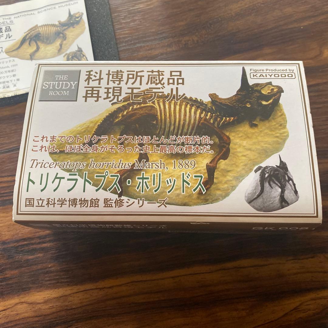 トリケラトプス・ホリッズ 再現モデル