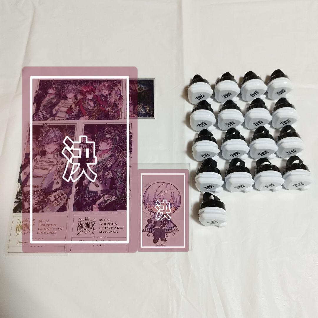 騎士X タケヤキ翔 リングライト 武道館