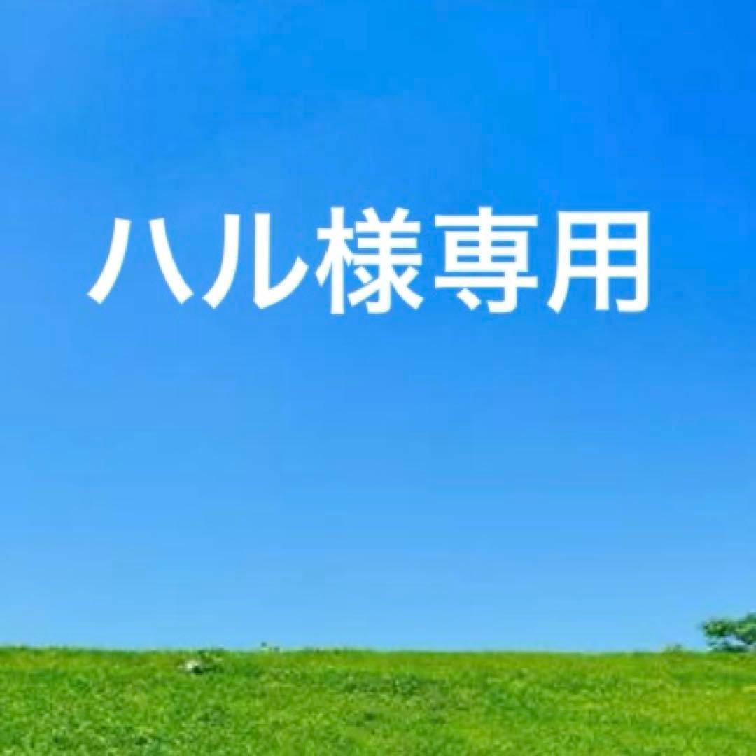 未使用BOTTEGA VENETA カセット　レザーラウンドジップ　二つ折り財布