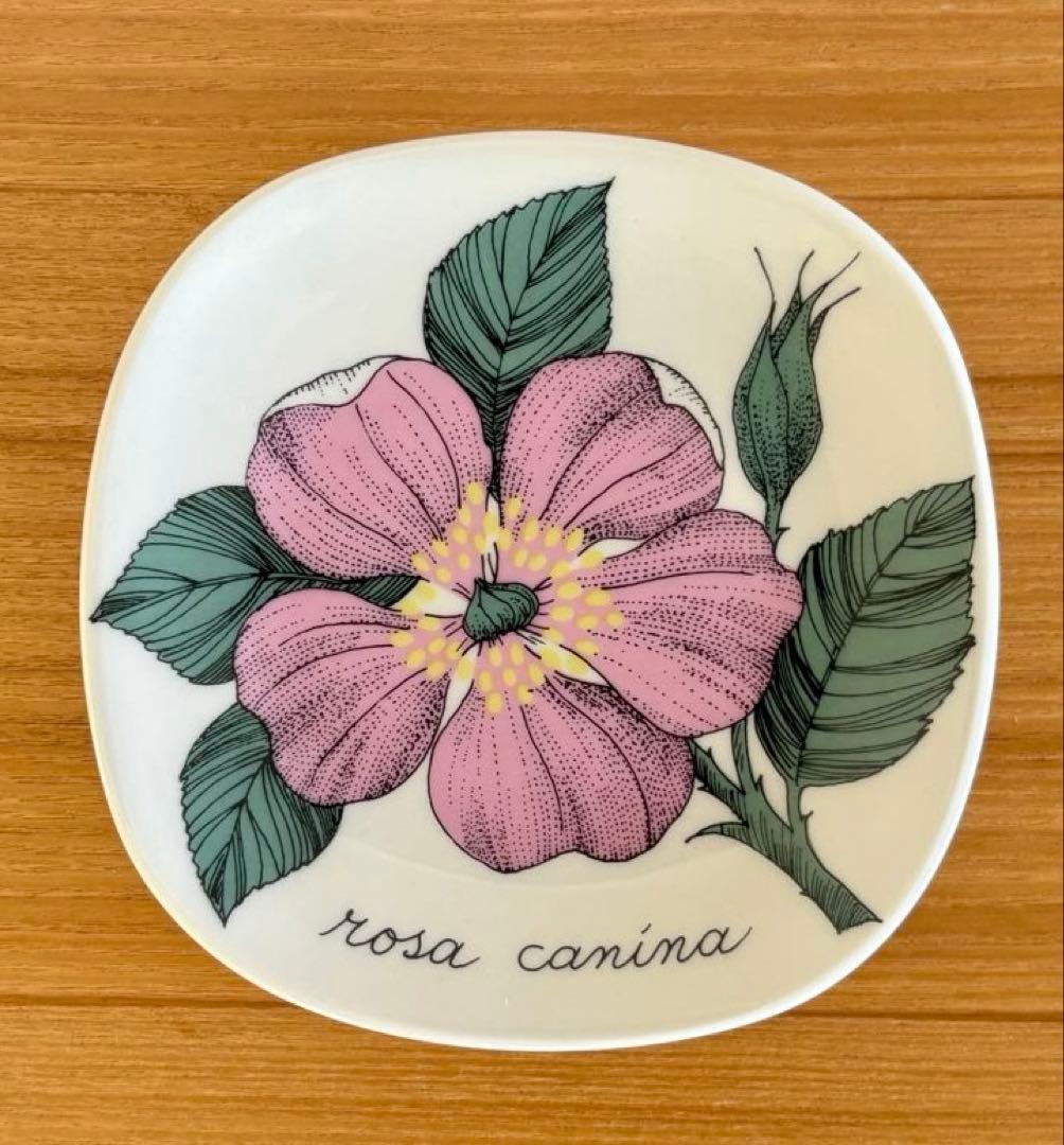 ARABIA エステリ・トムラ ボタニカ \"Rosa canina\"