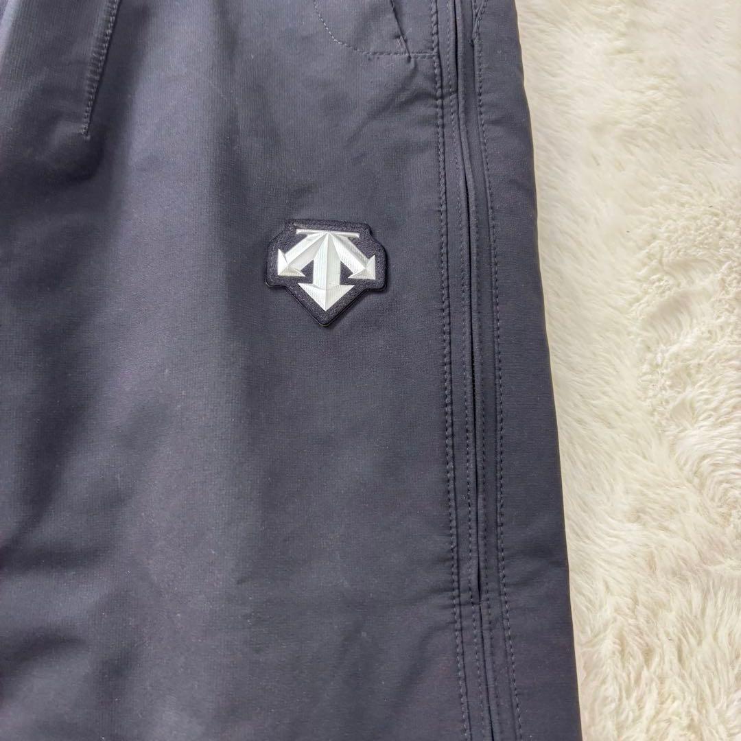 入手困難 デサント スイスチーム レプリカ スノーボードウェア アルパイン L