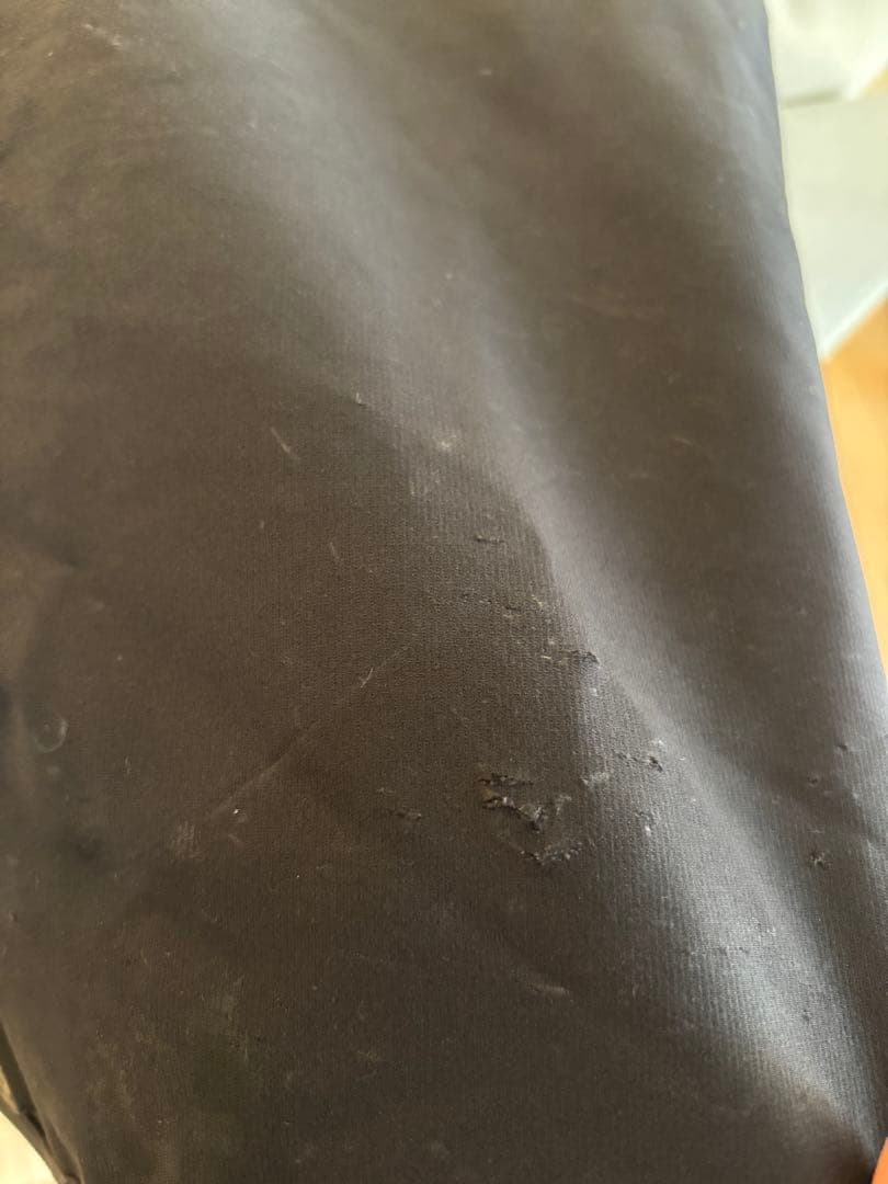 入手困難 デサント スイスチーム レプリカ スノーボードウェア アルパイン L