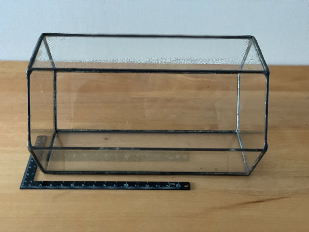 多肉用 テラリウム 苔リウム サボテン アガベ