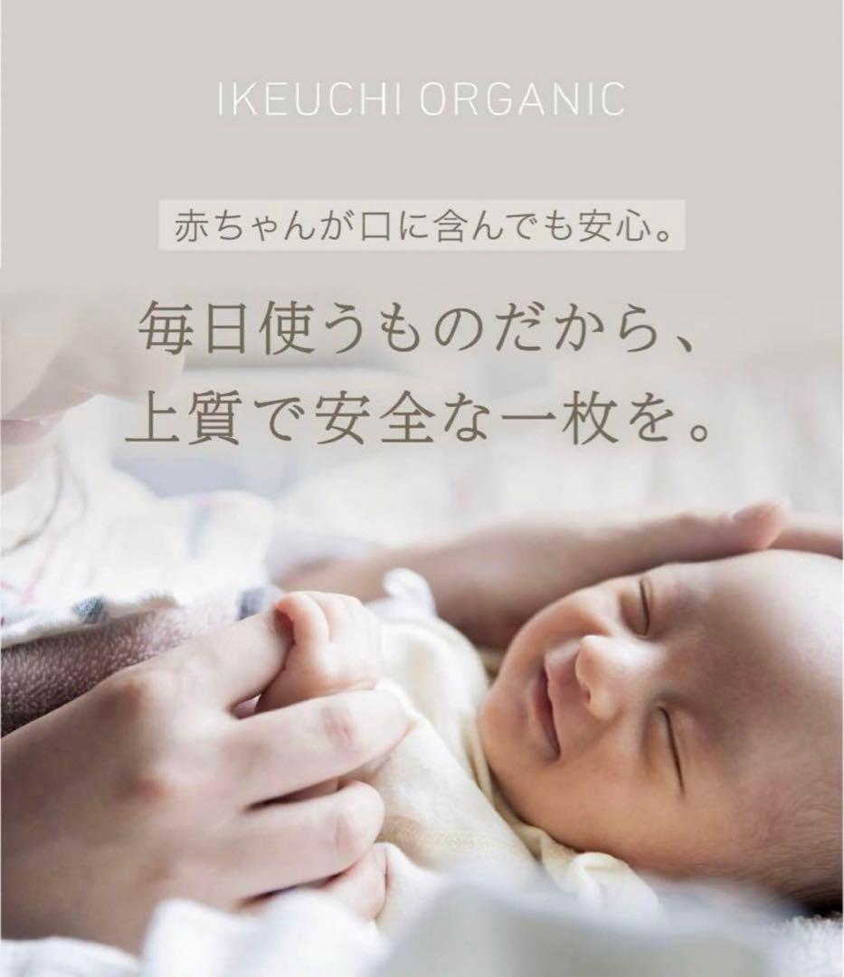 ★¥31,900- イケウチオーガニック 240 フラットシーツ クイーンサイズ