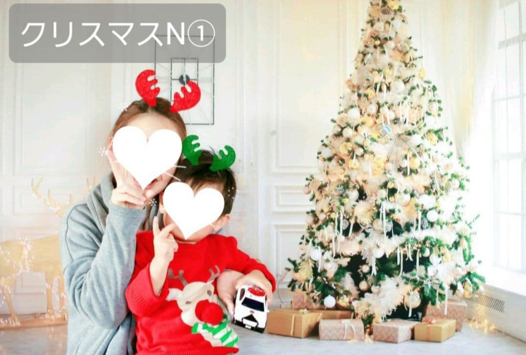 背景布【　お正月E　】サンプル　年賀状、ペット、子供撮影用　和柄　赤富士　梅の花