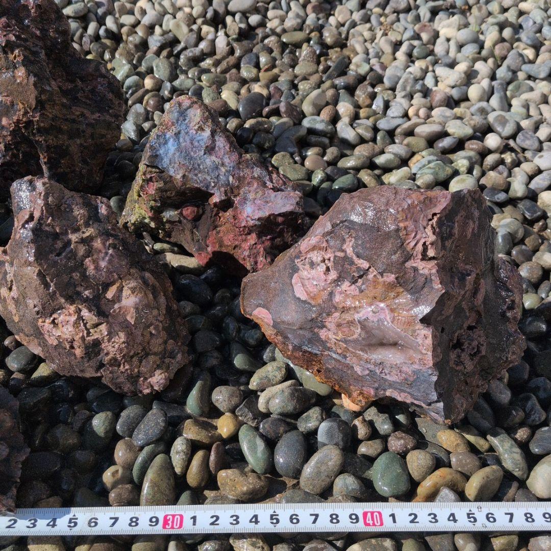 梅花石　セット　4　鑑賞石　石　水槽 アクアリウム　レイアウト　水草