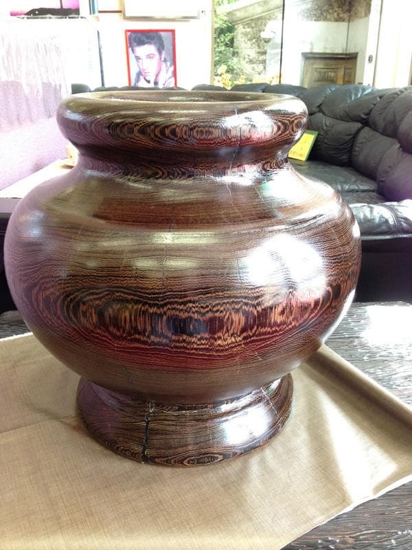 ★ラッキー特価！★ タガヤサン（鉄刀木）45cm 　特大壷
