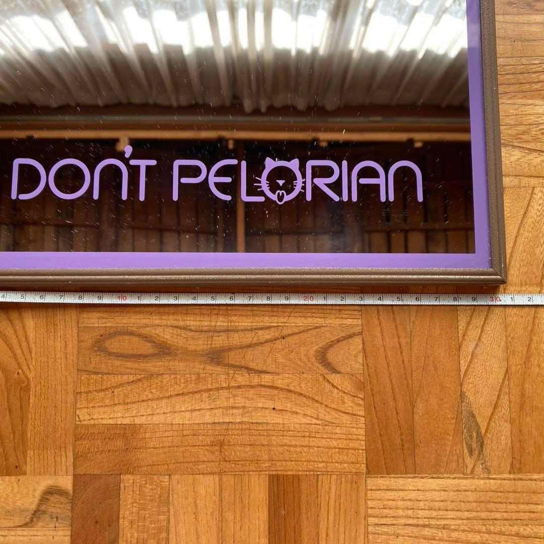 鏡 なめ猫 ～なめんなよ～ DON'T PELORIAN 壁掛け