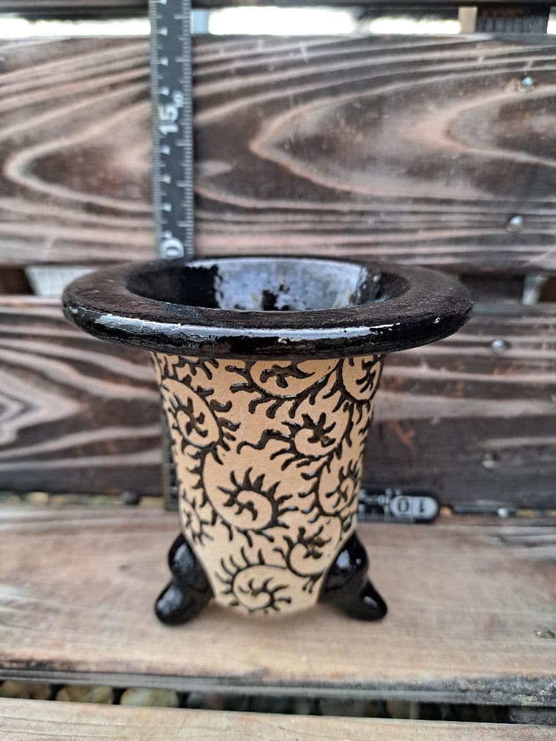 錦鉢　鉢　植木鉢　インテリア　植物　万年青　風蘭　長生蘭　伝統園芸　観葉植物