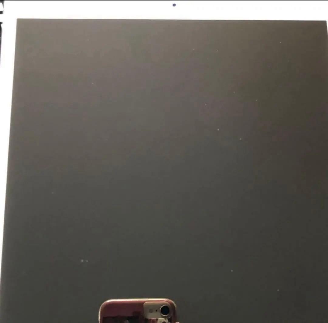 【早い者勝ち】iPad Pro 10.5 256GB 【すぐ発送】【付属品】