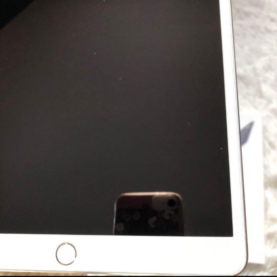 【早い者勝ち】iPad Pro 10.5 256GB 【すぐ発送】【付属品】
