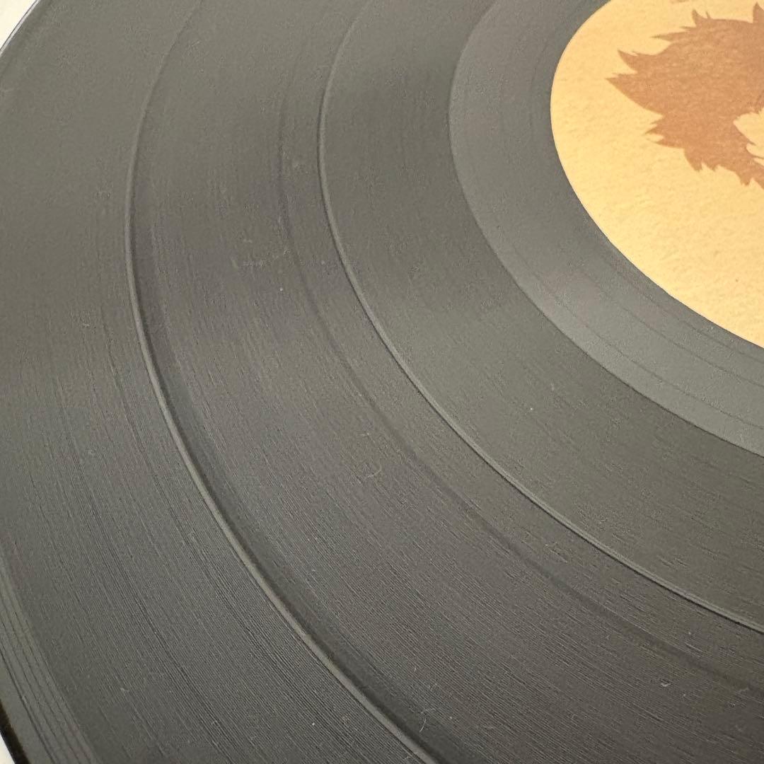 サムライチャンプルー 2007年1000枚限定リリース 3枚組レコード（LP）