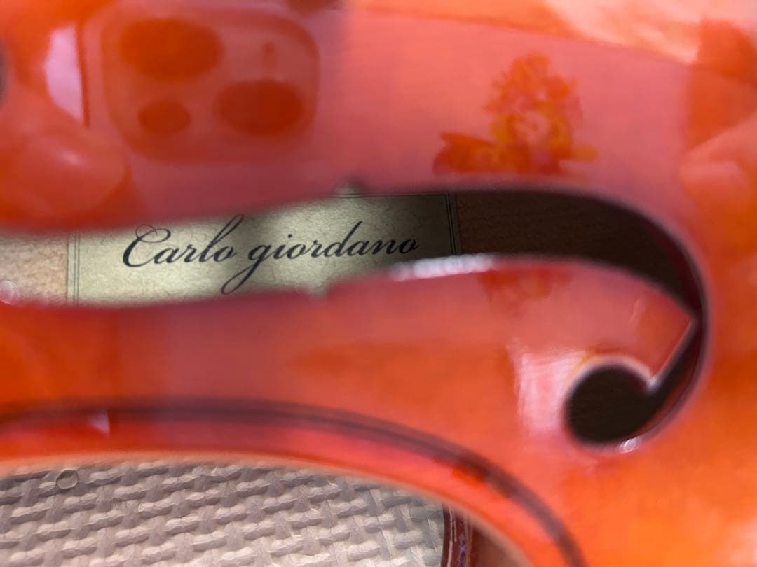 Carlo Giordano カルロジョルダーノ バイオリン VS-F1 4/4