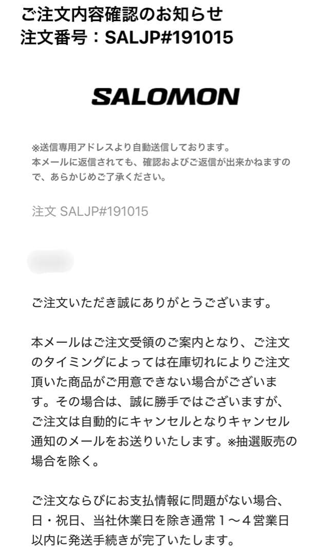 SALOMON ACTIVE SKIN 8ランニングベスト（フラスク付）