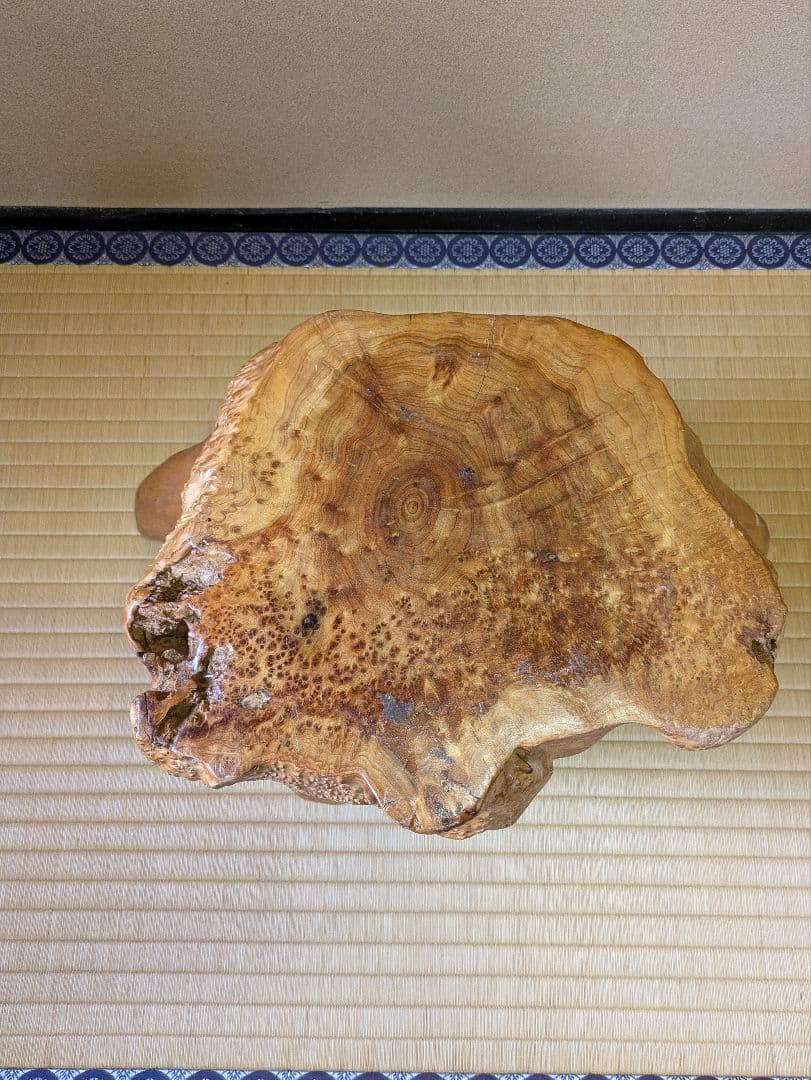 古木　インテリア　切り株　飾り台　花台　盆栽台　天然木