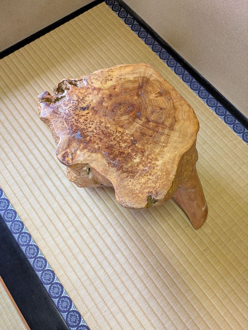 古木　インテリア　切り株　飾り台　花台　盆栽台　天然木