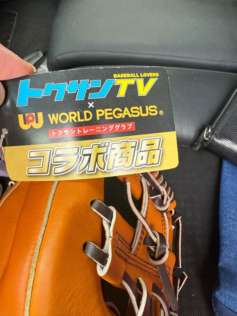 WORLD PEGASUS GRAND DEVIL 1093 軟式グローブ