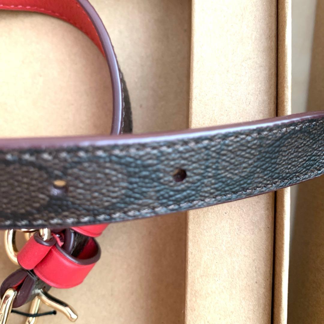 COACH コーチ　シグネチャー　赤　首輪　ドッグ　リード 小型犬　犬　ペット
