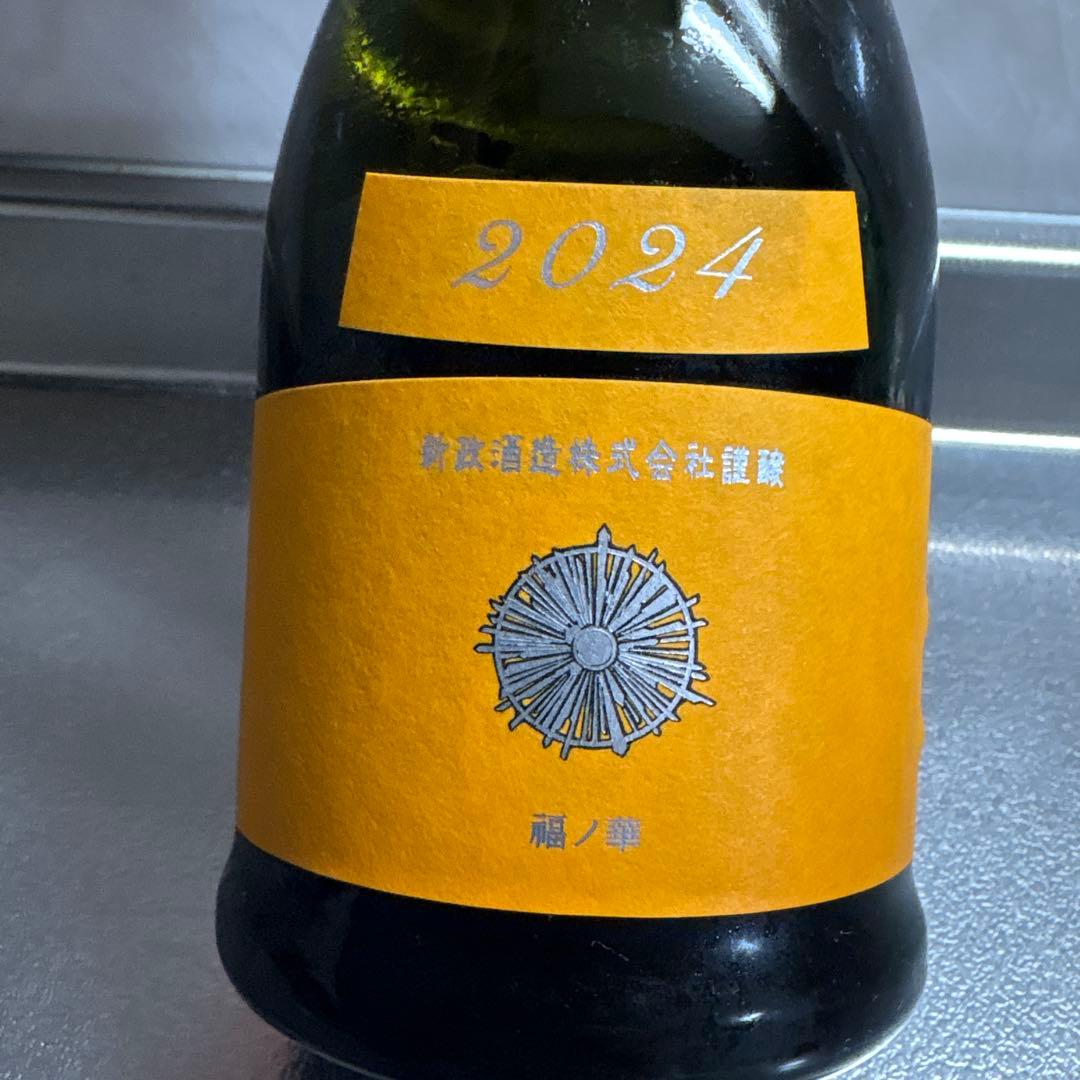 【2024年】新政　山吹　タンジェリン