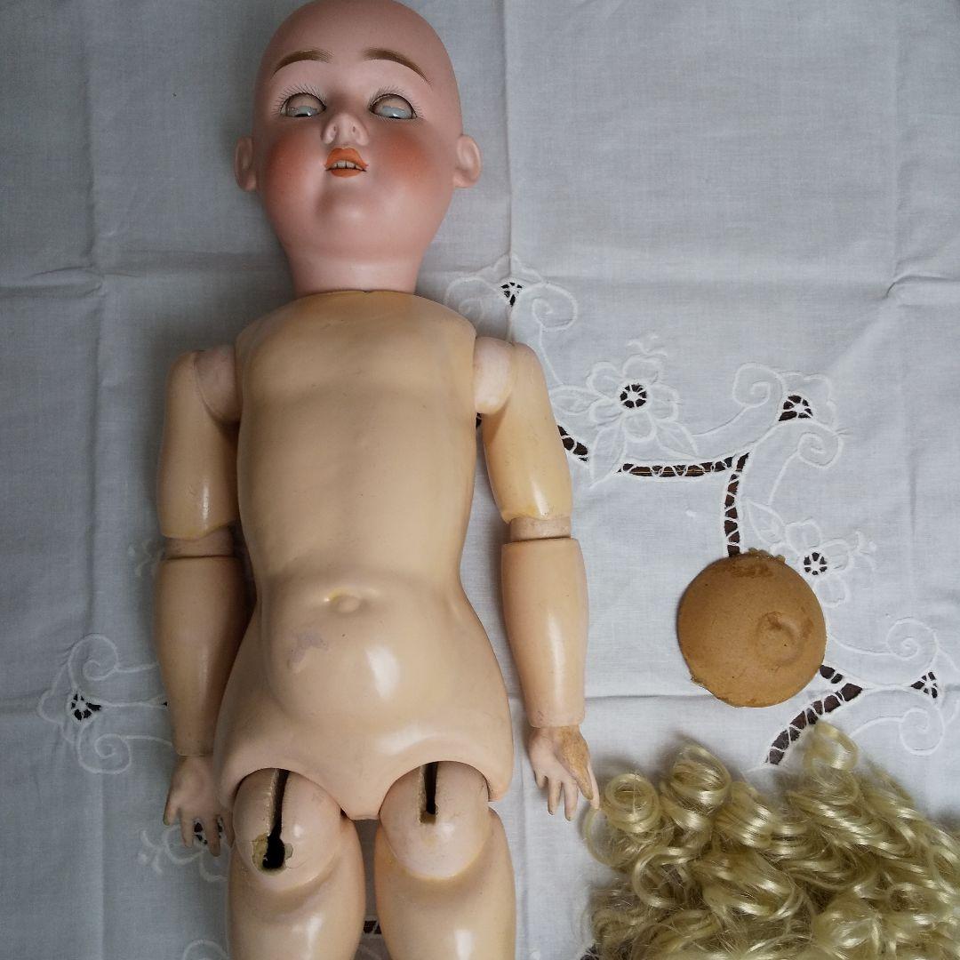 ♥夏の大特価Sale‼️❤️賢いお顔のマックスハンドベルク❤️❤️