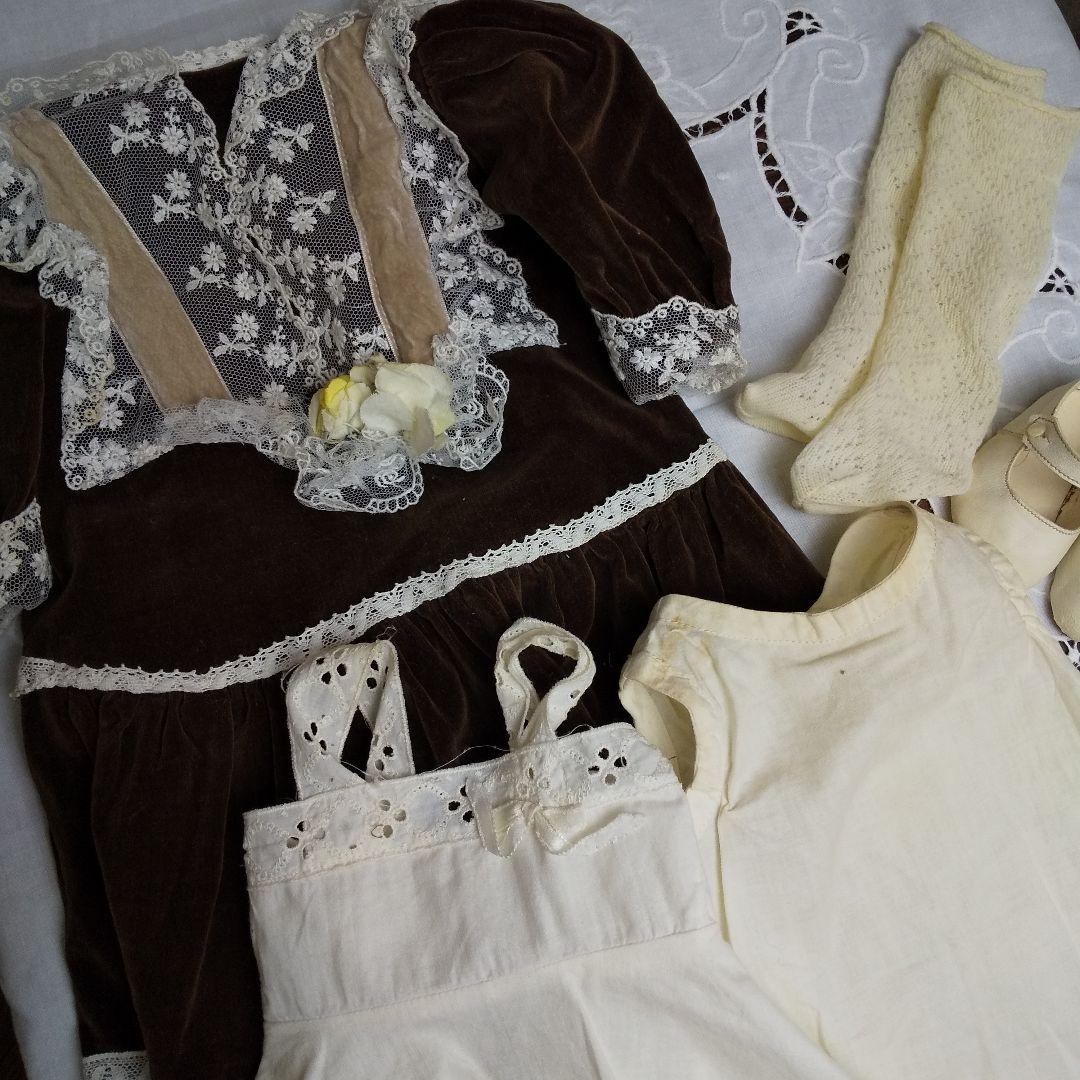 ♥夏の大特価Sale‼️❤️賢いお顔のマックスハンドベルク❤️❤️