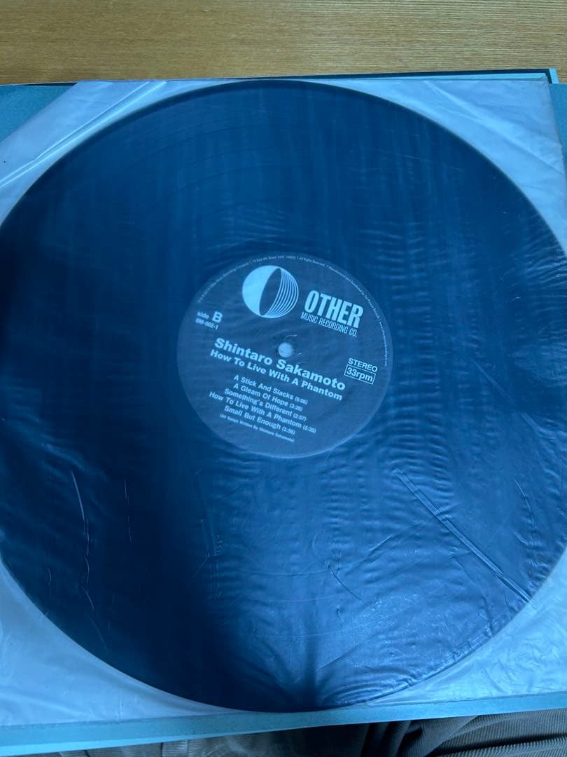 坂本慎太郎 幻とのつきあい方 LPレコード