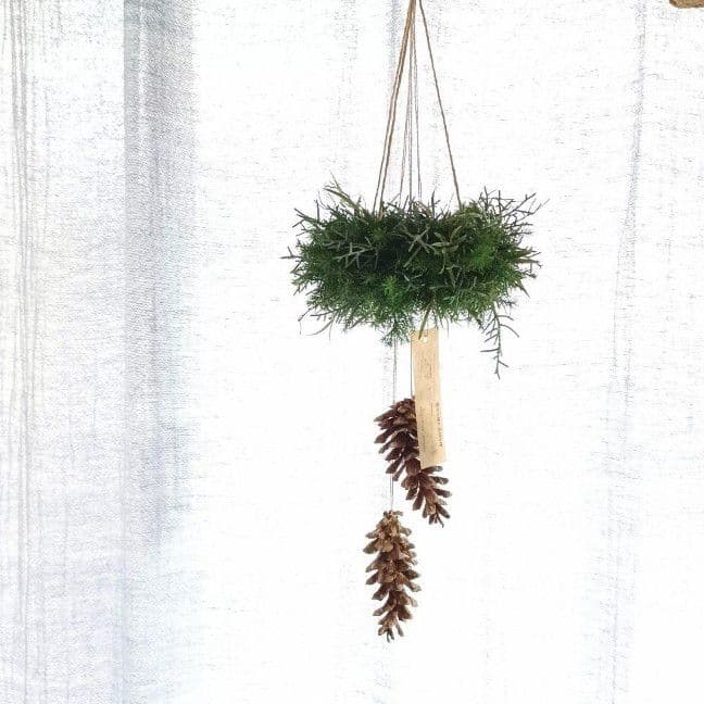 新品 未使用 ドライフラワー リース フライングリース インテリア order