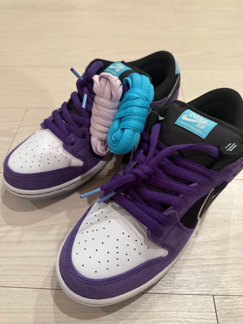 Hayley Wilson × Nike SB Dunk Low Pro