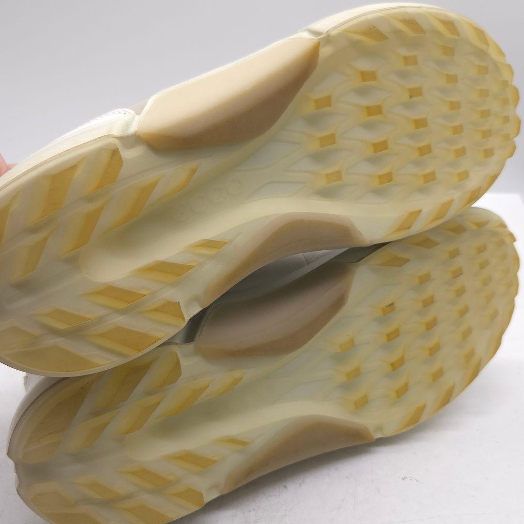 ecco BIOM H4 GORE-TEX エコー バイオム ゴアテックス