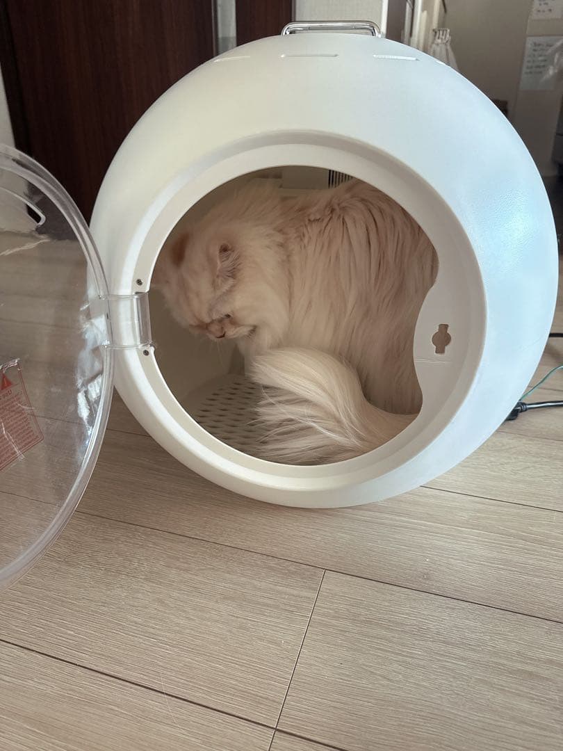 広域温度設定 送風 ペットドライヤー CW-020 球形 ホワイト　猫　犬