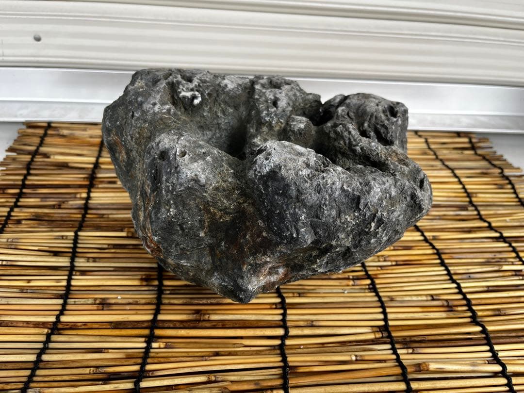 佐治石〈17〉【Taiyoメダカ】