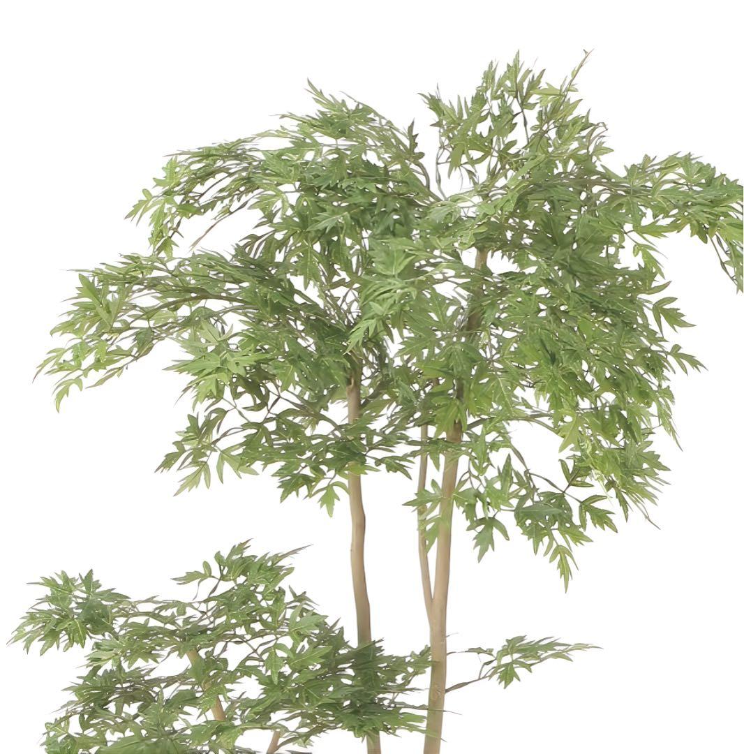 光触媒　人工観葉植物　ウォールグリーン　フェイクグリーン　タイワンモミジ1.3z