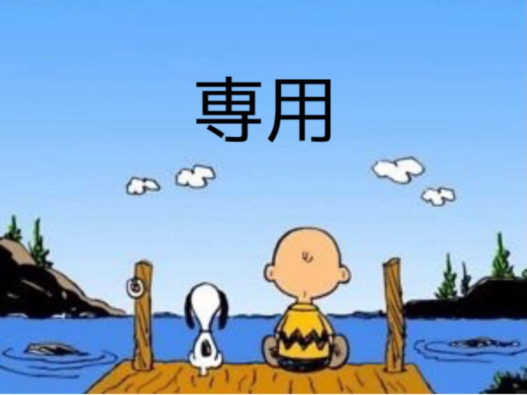 新品 ナイキ エア マックス コマンド 25.5cm