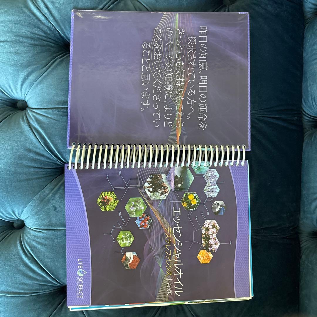 《新品/美品》美品エッセンシャルオイル 第6版