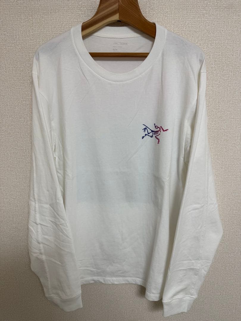 【美品M】ARC'TERYX Kragg Cotton Heatmap LS 白