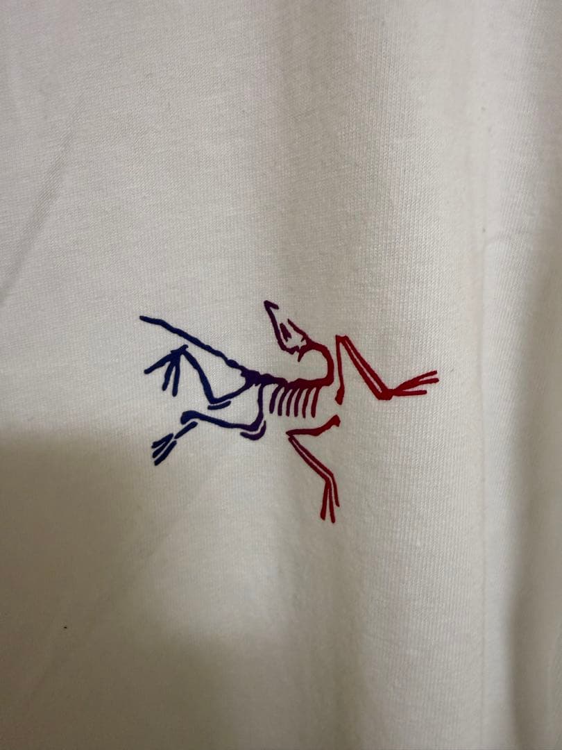 【美品M】ARC'TERYX Kragg Cotton Heatmap LS 白