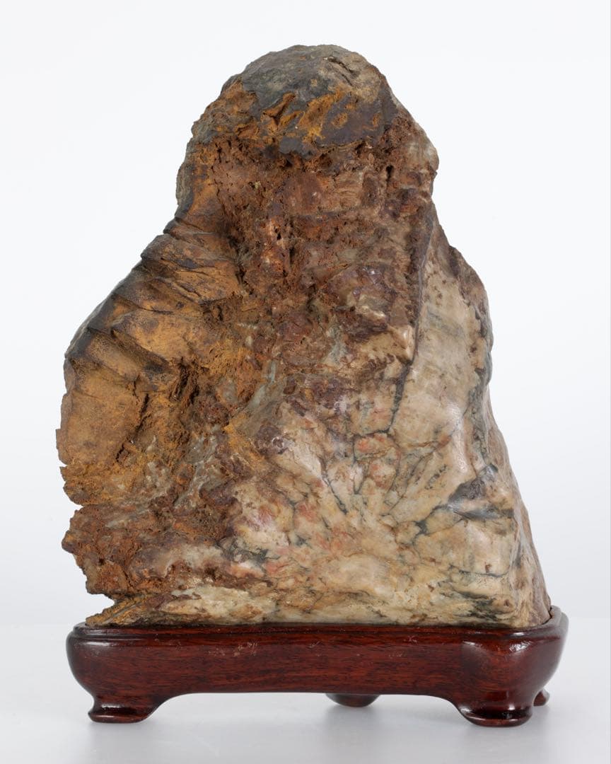 菊花石 菊紋石 大輪 紋石 台座付 3.2kg 鑑賞石 原石 自然石 美石 水石