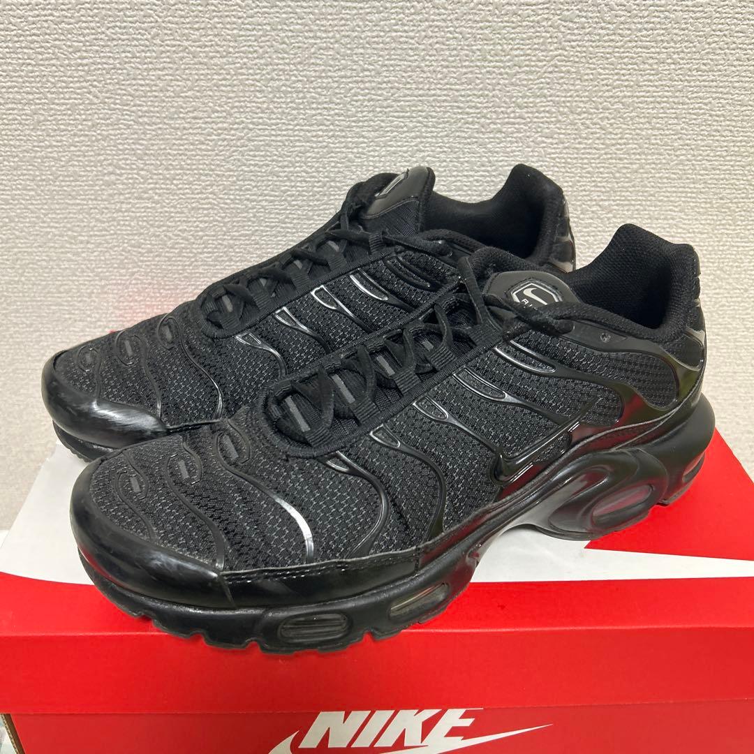 Nike Air Max Plus ブラック