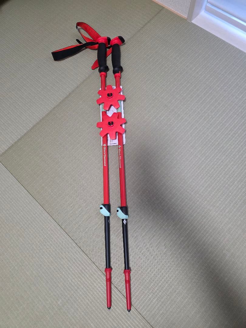  TRAVERSE スキー ストック