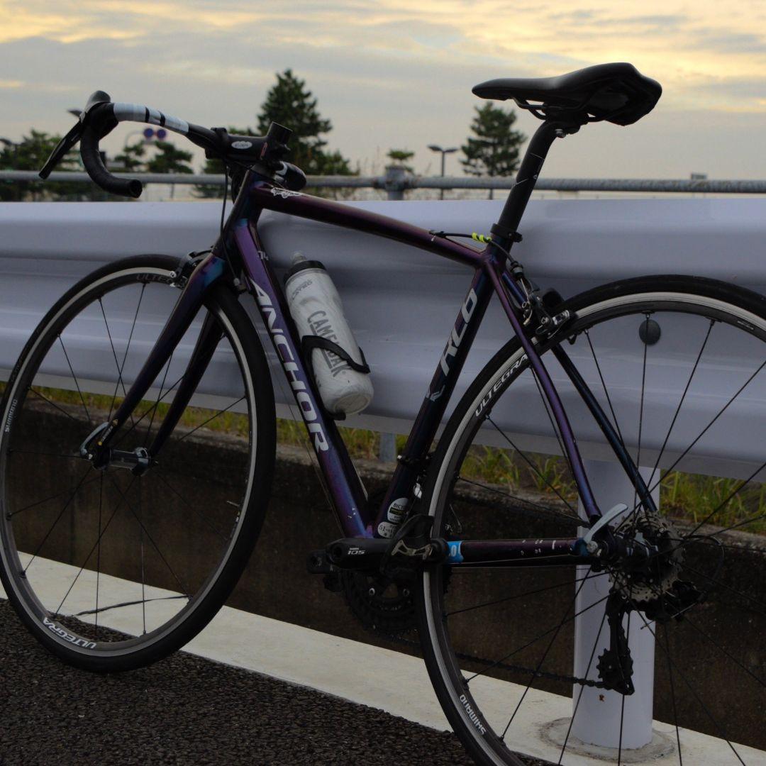 ANCHOR RL6 マジョーラカラー‼️