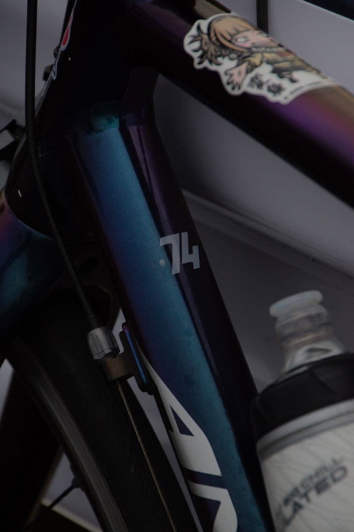 ANCHOR RL6 マジョーラカラー‼️