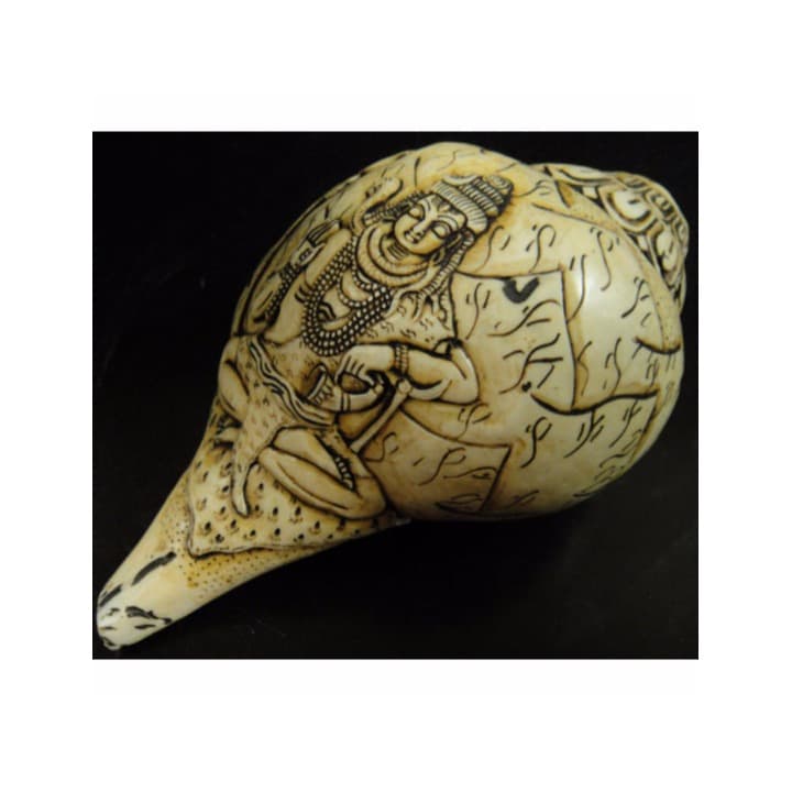◆チベット密教法具　法螺貝（シャンカ）シバ神