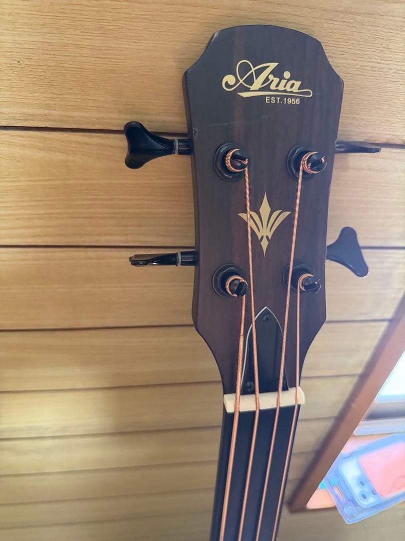 Ariaフレットレスアコースティックベース