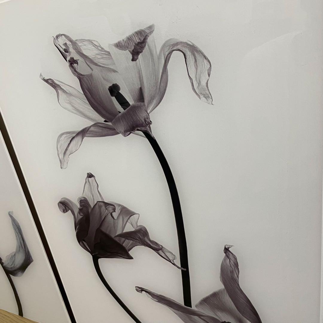 Francfranc　アクリルアート　2枚